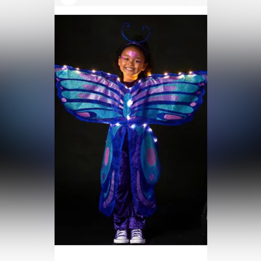 Pottery Barn Kids Blue and Purple Light-Up Butterfly Costume